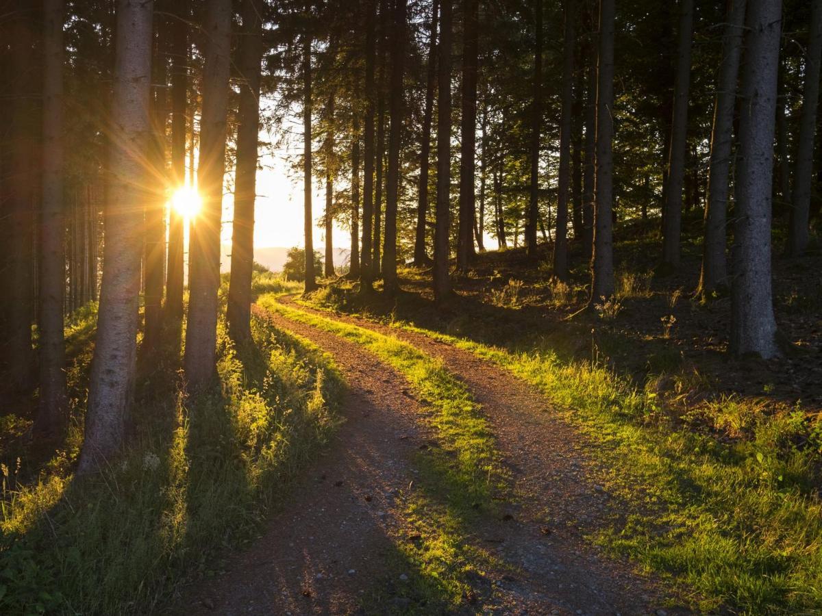 Atempause Sauerland Lägenhet Schmallenberg Exteriör bild